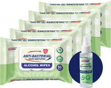 Load image into Gallery viewer, Germisept Antibacterial Alcohol Wipes (50 Count Packs) + Spray Bundle
